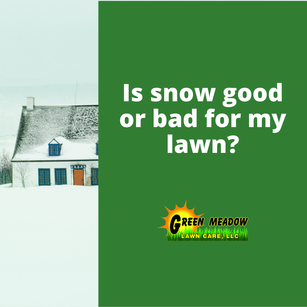 Top 5 benefits of Snow for Your Lawn